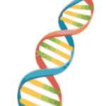 GeneticCounseling-Icon